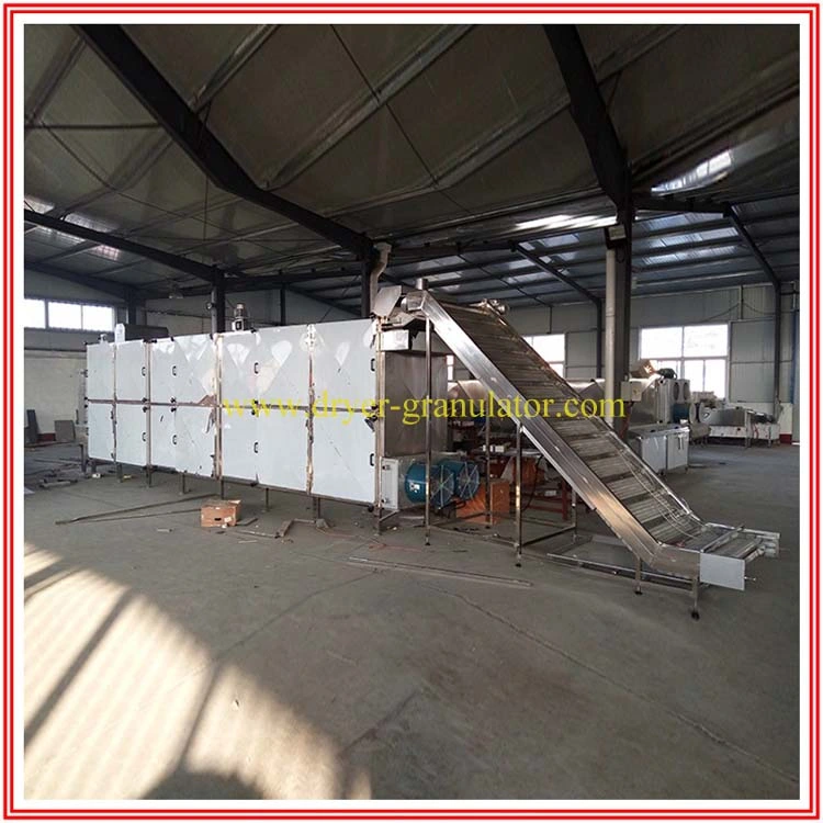 Steam Heating Single Layer Tunnel Dryer/ Belt Dryer / Muti Layer Belt Dryer/ Three Deck Belt Dryer/ Vegetable Belt Dryer/ Fruit Belt Dryer/ Conveyor Dryer